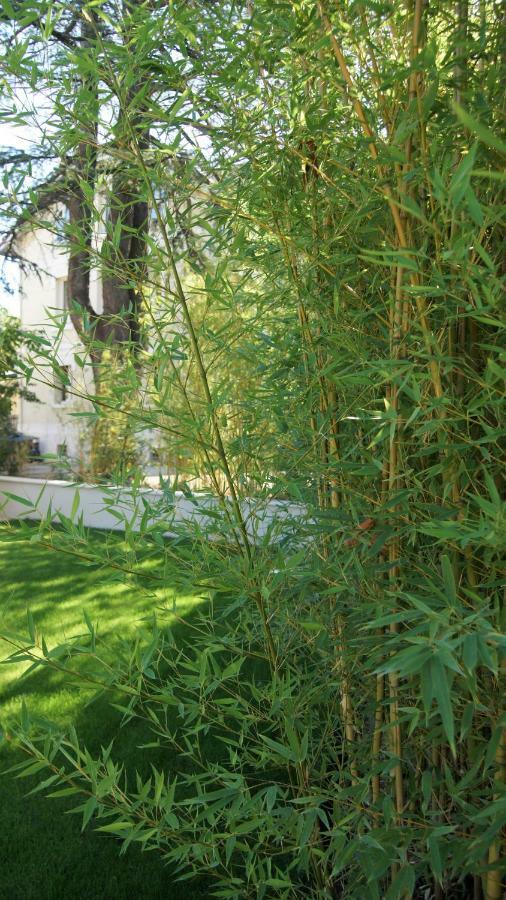 Hôtel de charme L'Orée du Parc Romans-sur-Isère Exterior foto